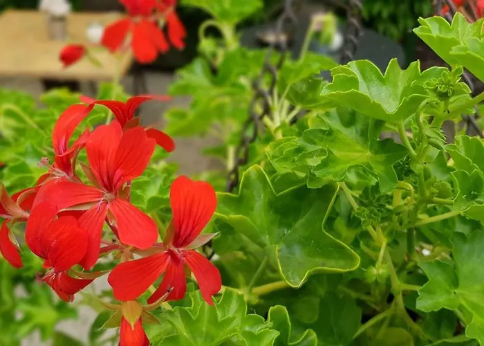 Bartoschewitz 招待所 Lenzen