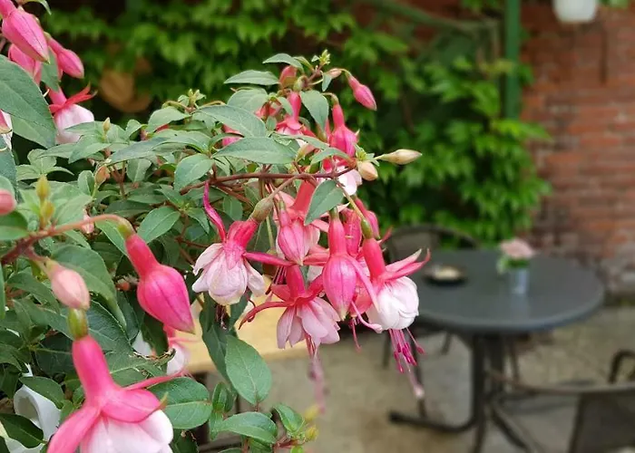 Guest house Bartoschewitz